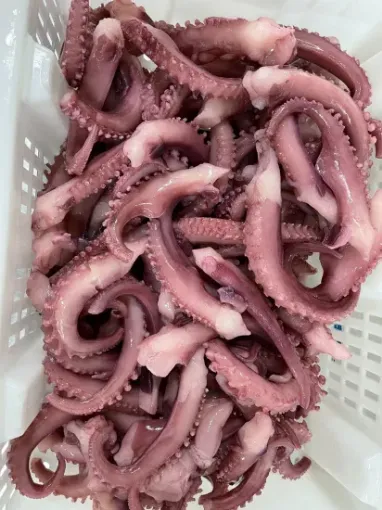 Picture of MARINA SQUID TENTACLES 800G