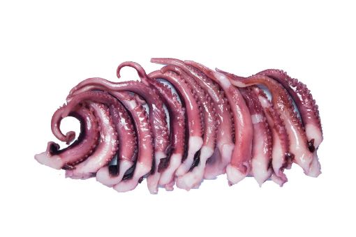 Picture of S.SHOP SQUID TENTACLES 750G