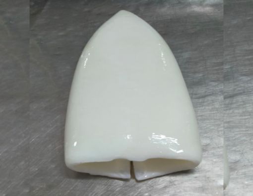 Picture of CAPTAIN HOOK GIANT SQUID FILLET