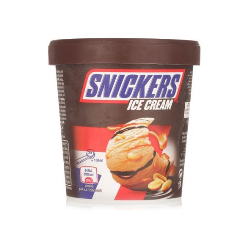 Picture of SNICKERS POT 335G