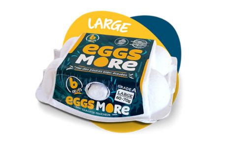 Picture of EGGSMORE LARGE X 6