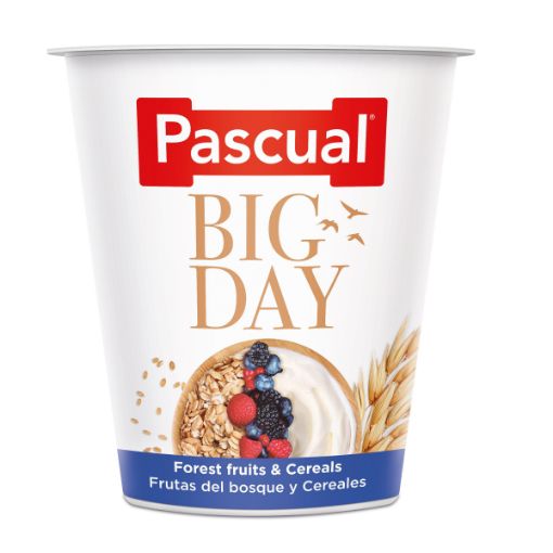 Picture of PASCUAL BIG DAY FRUIT OF FOREST CEREAL YOGHURT 125G