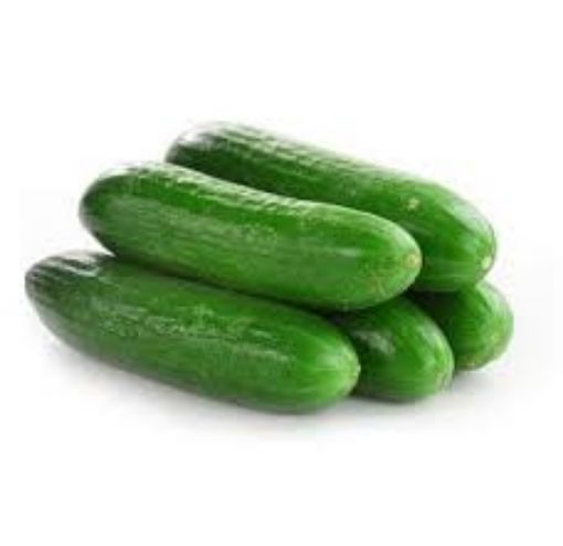 Picture of BABY ENGLISH CUCUMBER BARQUETTE