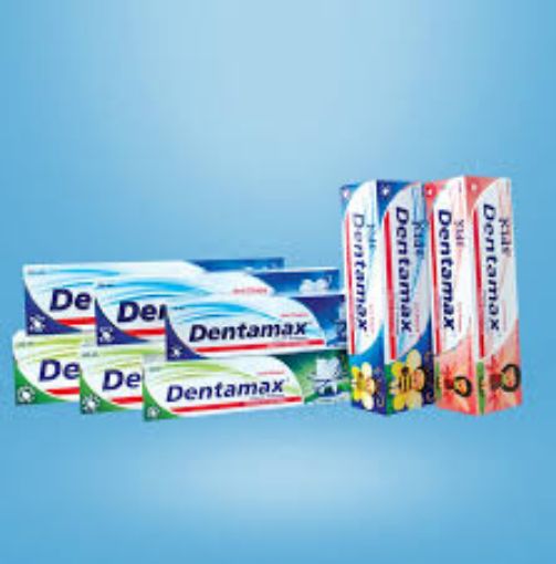 Picture of DENTAMAX DENTIFRICE 100ML MILD MINT