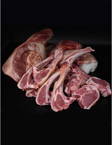 Picture of GREENFIELD TI CARI AGNEAU AVEC OS 500G