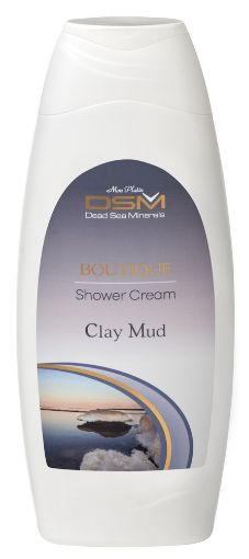 Picture of DSM BOUTIQUE SHOWER CREAM CLAY MUD 500ML