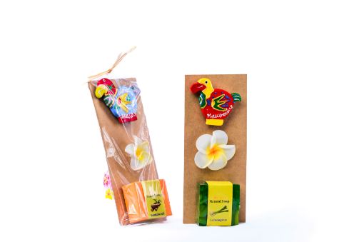 Picture of SOAP  MAGNET