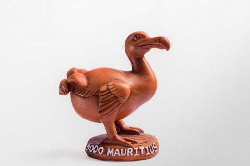 Picture of DODO DIMENSION 5