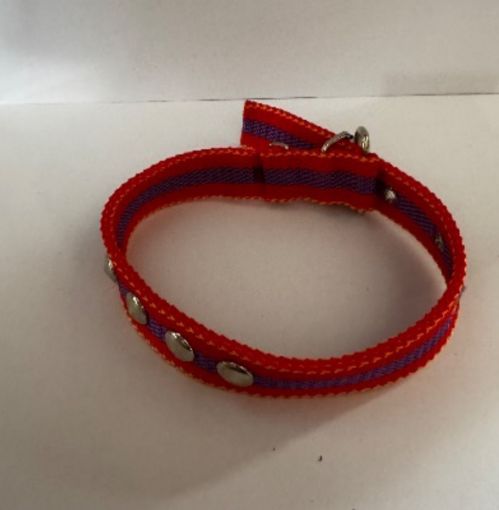 Picture of COLLIER CHIEN MEDIUM