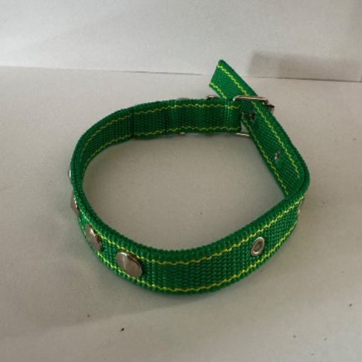 Picture of COLLIER CHIEN LARGE