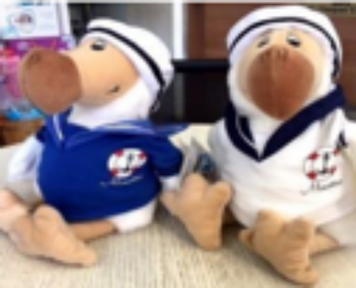 Picture of DODU DODO MARIN ASS