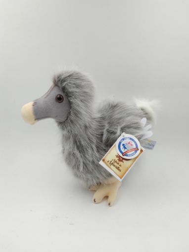 Picture of DOD CLASSIC L