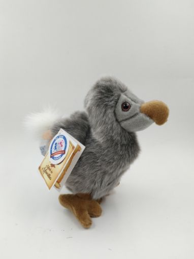 Picture of DODO GREY M