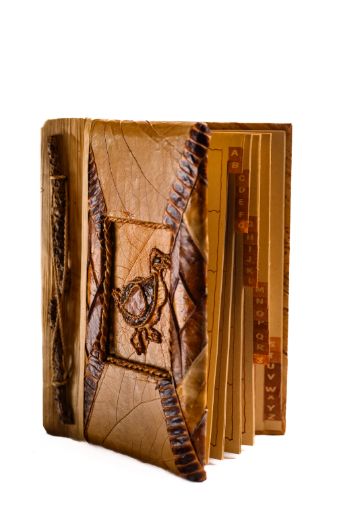 Picture of NOTEBOOK DODO