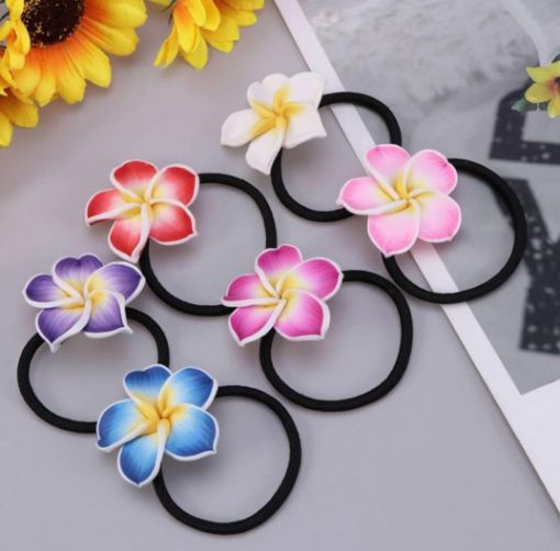 Picture of ELASTIC FRANG