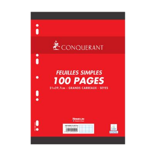 Picture of FEUILLE MOBILE SEYES PER A4X100 80G