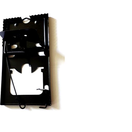 Picture of RAT CATCHER