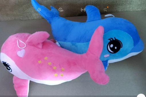 Picture of DAUPHIN REQUIN