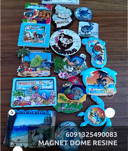 Picture of MAGNET DOME RESINE