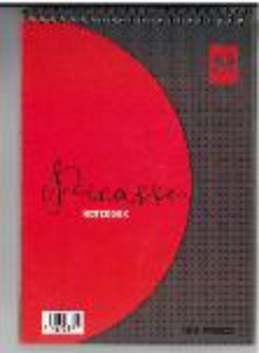 Picture of PICASSO PAD SPIRAL A5 100P