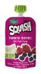 Picture of RHODES SQUISH SUMMER BERRIES PUREE 110ML