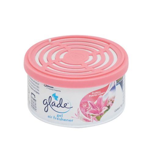 Picture of GLADE MINI GEL FLOROUGE A LEVRE PERFECTION 70G