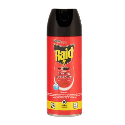 Picture of RAID CRAWLING INSECT KILLER 300ML