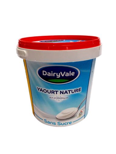 Picture of DAIRYVALE NATURE SANS SUCRE 1KG