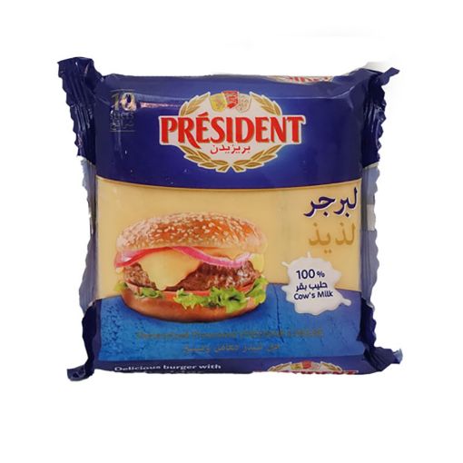 Picture of PRESIDENT 10 TRANCHES BURGER 200G