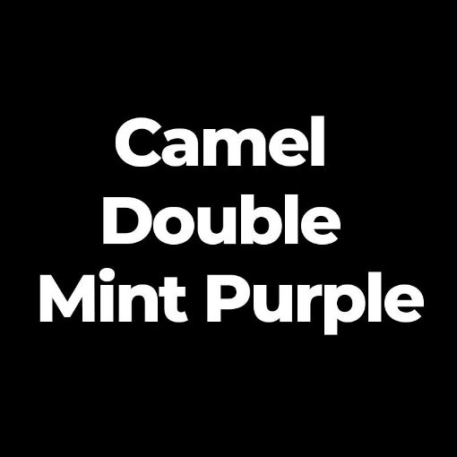 Picture of CAMEL DOUBLE MINT  PURPLE